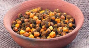 Roasted Chana : వేయించిన శ‌న‌గ‌ల‌ను తింటే.. ఏం జ‌రుగుతుందో తెలుసా..?