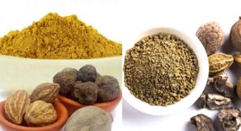 Triphala Churnam : త్రిఫ‌ల చూర్ణం.. ఉద‌యం, సాయంత్రం 5 గ్రాములు.. షుగ‌ర్‌, బ‌రువు అన్నీ త‌గ్గుతాయి..!