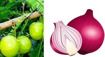 Amla And Onion : ఉసిరికాయ‌, ఉల్లిపాయ క‌లిపి తీసుకుంటే.. ఏం జ‌రుగుతుందో తెలుసా..?