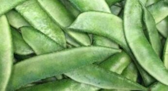 Broad Beans : షుగ‌ర్‌, అధిక బ‌రువు, గుండె జ‌బ్బులు.. ఈ కాయ‌ల ముందు మ‌టుమాయం కావ‌ల్సిందే..!