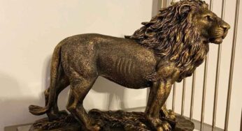 Bronze Lion Idol : ఇంట్లో సింహం విగ్ర‌హాన్ని ఇలా పెట్టుకోండి.. ఏం జ‌రుగుతుందో చెబితే న‌మ్మ‌లేరు..!