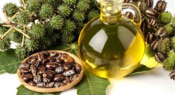 Castor Oil : రేచీకటి, కీళ్ల నొప్పులను తగ్గించే దివ్యౌషధం ఆముదం.. ఇంకా మరెన్నో ఉపయోగాలు..!