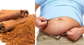 Cinnamon Powder : దాల్చిన చెక్క‌ను ఇలా 3 నెల‌లు తీసుకుంటే.. శ‌రీరంలోని కొవ్వు మొత్తం క‌రుగుతుంది..