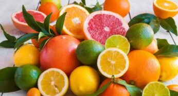 Citrus Fruits : నిమ్మ‌కాయ‌ల‌ను లైట్ తీసుకుంటారు.. కానీ ఇవి హార్ట్ ఎటాక్‌ల‌ను రాకుండా చూస్తాయ‌ని మీకు తెలుసా..?