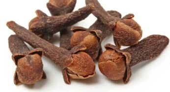 Cloves : లవంగాలు రోజూ తింటే ఎన్ని ప్రయోజనాలో తెలుసా..?