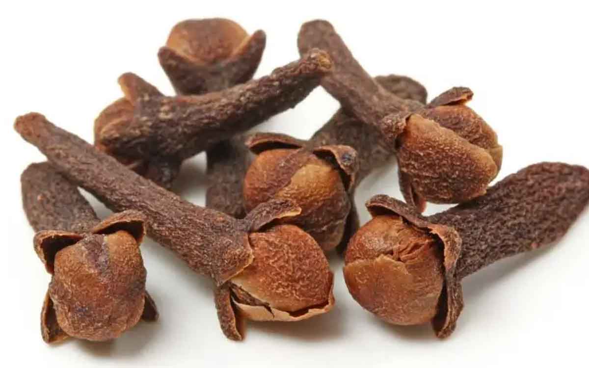 cloves can reduce weight know how 