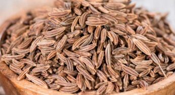 Cumin Seeds : అనేక అనారోగ్య స‌మ‌స్య‌ల‌ను న‌యం చేసే జీల‌క‌ర్ర‌.. ఇలా తీసుకోవాలి..!