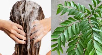 Curry Leaves Shampoo : క‌రివేపాకుతో షాంపూను ఇలా త‌యారు చేసి వాడండి.. జుట్టు పెరుగుతూనే ఉంటుంది..!