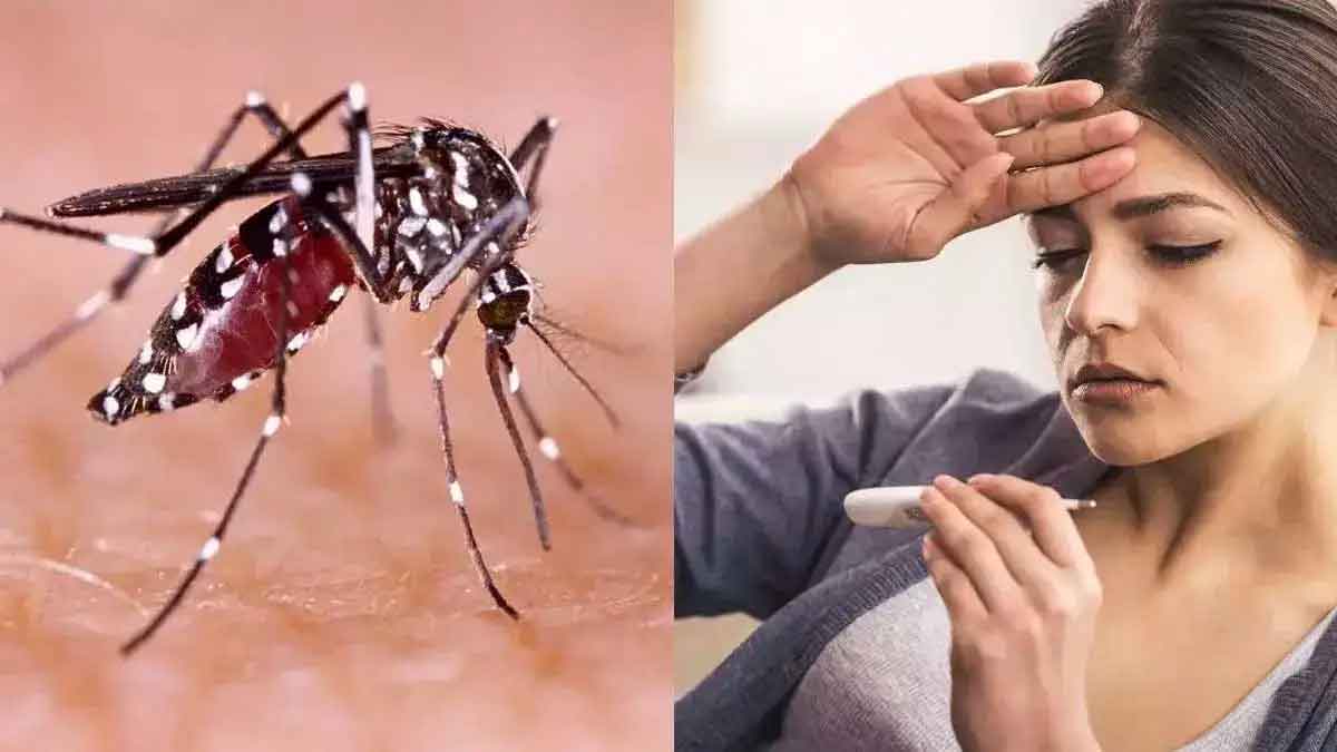 take these 5 foods to quickly recover from dengue 