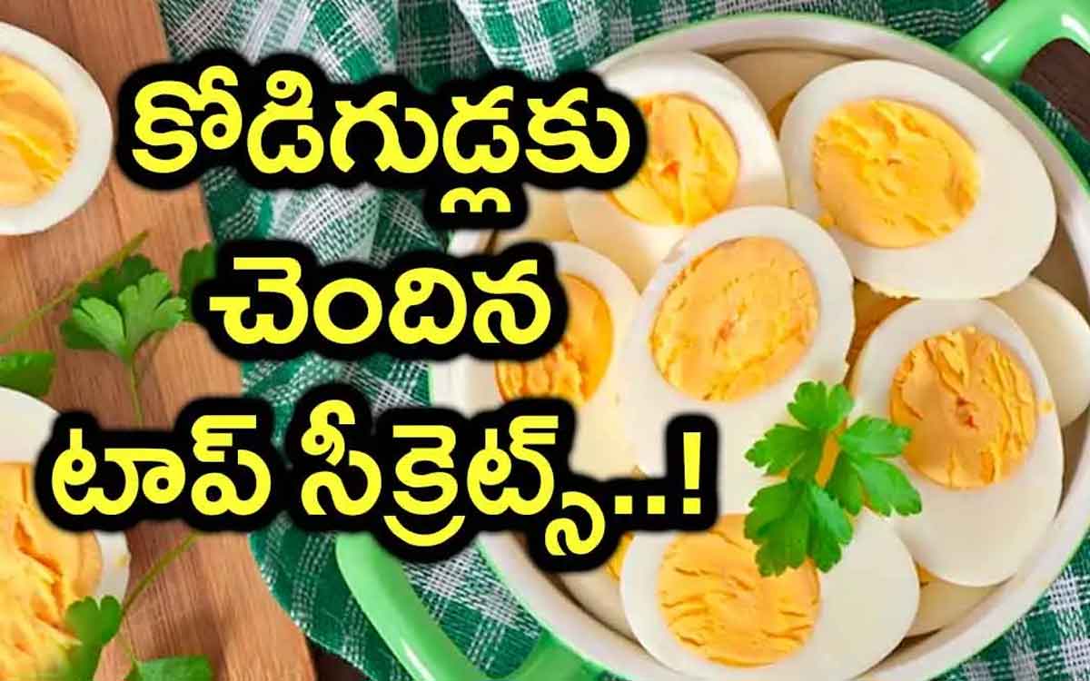 eggs top secrets must know about them 