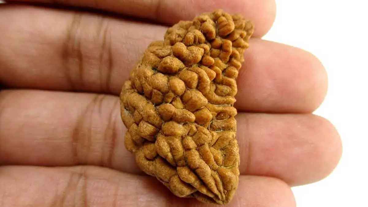 do you know what happens if you wear ekamukhi rudraksha