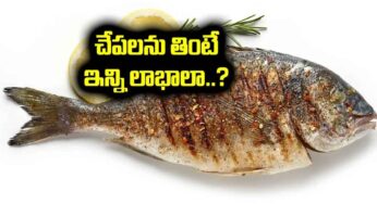 Fish : చేప‌ల‌ను తింటే ఇన్ని లాభాలా.. ఇవి తెలిస్తే వెంట‌నే తిన‌డం ప్రారంభిస్తారు..!