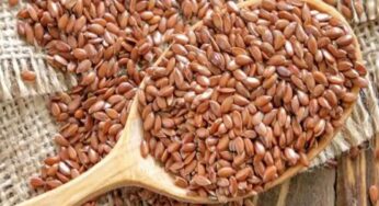 Flax Seeds : ఈ గింజ‌ల‌ను రోజూ ఒక్క స్పూన్ తింటే ఏమ‌వుతుందో తెలుసా.. ఆశ్చ‌ర్య‌పోతారు..!