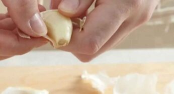 Garlic : వెల్లుల్లి మంచిదే కానీ.. అధికంగా తీసుకుంటే ప్ర‌మాదం..!