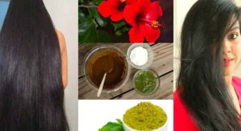 Hibiscus For Hair | మందారాల‌ను ఇలా ఉప‌యోగిస్తే.. మీ జుట్టు వ‌ద్ద‌న్నా పెరుగుతూనే ఉంటుంది..!