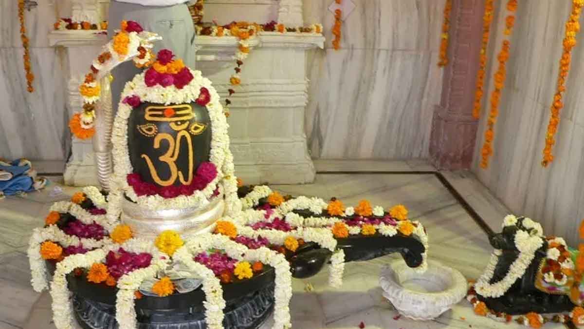 if you offer these items to lord shiva then you will get problems 