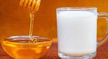 Milk With Honey Benefits : రోజూ రాత్రి పాల‌లో తేనె క‌లిపి తాగితే ఏం జ‌రుగుతుందో తెలుసా..?