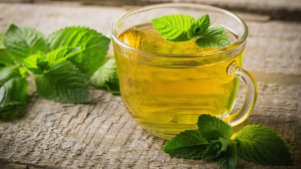 mint tea many wonderful health benefits 