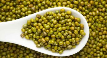 Green Moong Dal : పొట్టుతో ఉన్న పెస‌లను తింటే ఎన్ని లాభాలు క‌లుగుతాయో తెలుసా..?