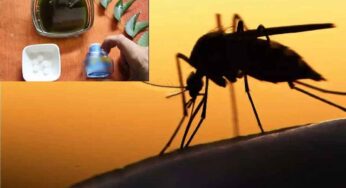 Natural Mosquito Repellent : మీ ఇంట్లోనే స‌హ‌జ‌సిద్ధంగా మ‌స్కిటో రీపెల్లెంట్‌ను ఇలా త‌యారు చేసుకోవ‌చ్చు.. బ‌య‌ట కొనాల్సిన ప‌నిలేదు..