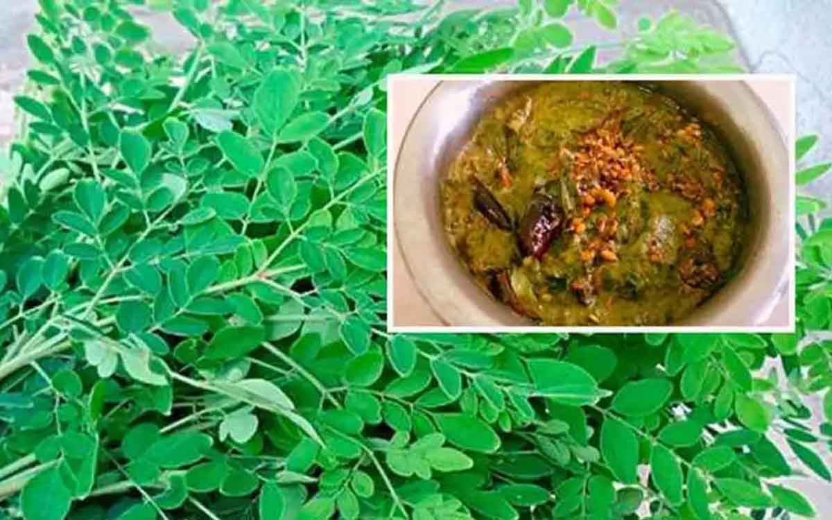 Munagaku Pachadi take regularly for health 