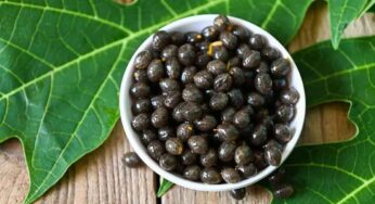 Papaya Seeds : బొప్పాయి పండ్ల‌ను తింటే ఈసారి గింజ‌ల్ని ప‌డేయ‌కండి.. ఎందుకంటే..?