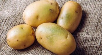 Green Color On Potatoes : ఈ రంగులో ఉన్న ఆలును తింటున్నారా.. అయితే డేంజ‌రే.. ఎందుకంటే..?