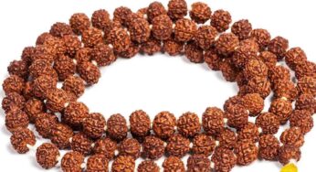 Rudraksha : రుద్రాక్షల‌ను ధరించడం వల్ల కలిగే లాభాలు.. సైన్స్ చెబుతున్న సత్యాలు..