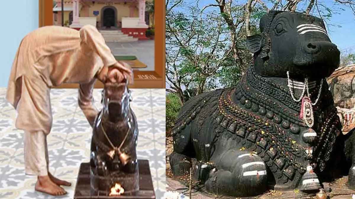 why lord shiva darshan is from nandi horns 