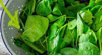 Spinach : మ‌తిమ‌రుపు త‌గ్గి మెద‌డు యాక్టివ్‌గా మారాలంటే.. రోజూ దీన్ని తీసుకోండి..!