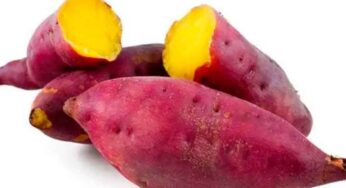 Sweet Potatoes : ఈ దుంప‌ను తీసుకుంటే ఏం జ‌రుగుతుందో తెలుసా..?