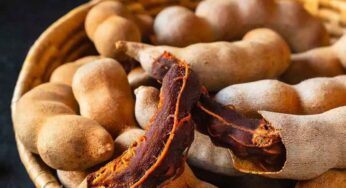 Tamarind Health Benefits : పులుపుగా ఉంటుంద‌ని చింత‌పండును దూరం పెడితే.. ఈ లాభాల‌ను కోల్పోతారు..!