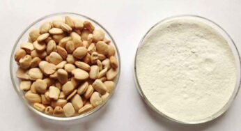 Tamarind Seeds Powder : మోకాళ్ల‌లో గుజ్జును పెంచి.. కీళ్ల నొప్పుల‌ను త‌గ్గించే చింత గింజ‌లు.. ఎలా వాడాలంటే..?