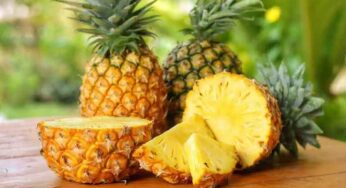 Pineapple : పైనాపిల్‌ను తిన్న‌ప్పుడు నాలుక ప‌గులుతుంది.. అలా ఎందుక‌వుతుందో తెలుసా..?