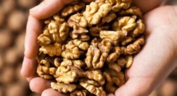 Walnuts Health Benefits : వీటిని రోజూ ఒక గుప్పెడు తినండి చాలు.. ఎన్నో చెప్ప‌లేని లాభాలు క‌లుగుతాయి..!