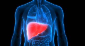 Liver Disease Symptoms : ఈ 6 ల‌క్ష‌ణాలు క‌నిపిస్తున్నాయా.. అయితే మీ లివ‌ర్ డ్యామేజ్ అయిందేమో చెక్ చేసుకోండి..!