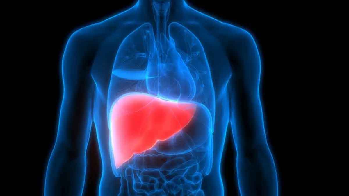 liver damage symptoms you must look for 