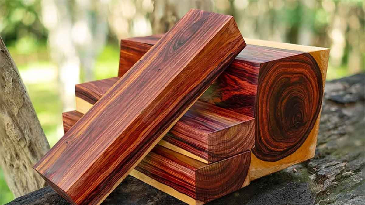 this is the most costly wood in the world 