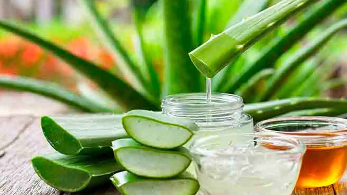 take daily one spoon of aloe vera gel for many health problems 