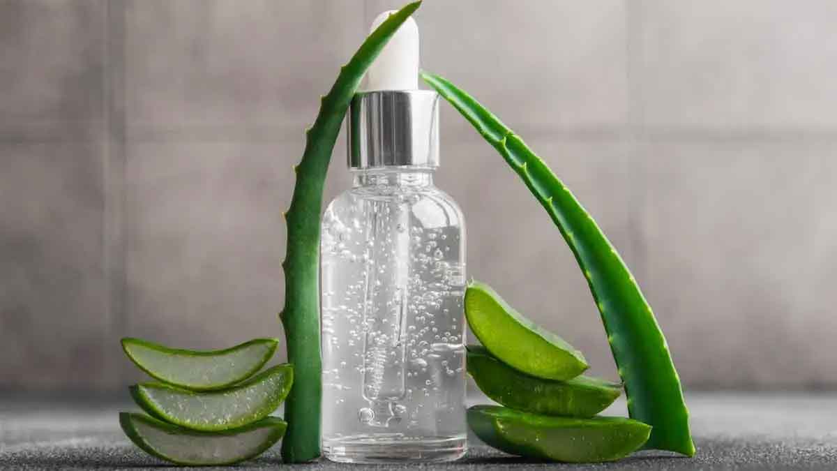 you can make aloe vera gel at home very easily 