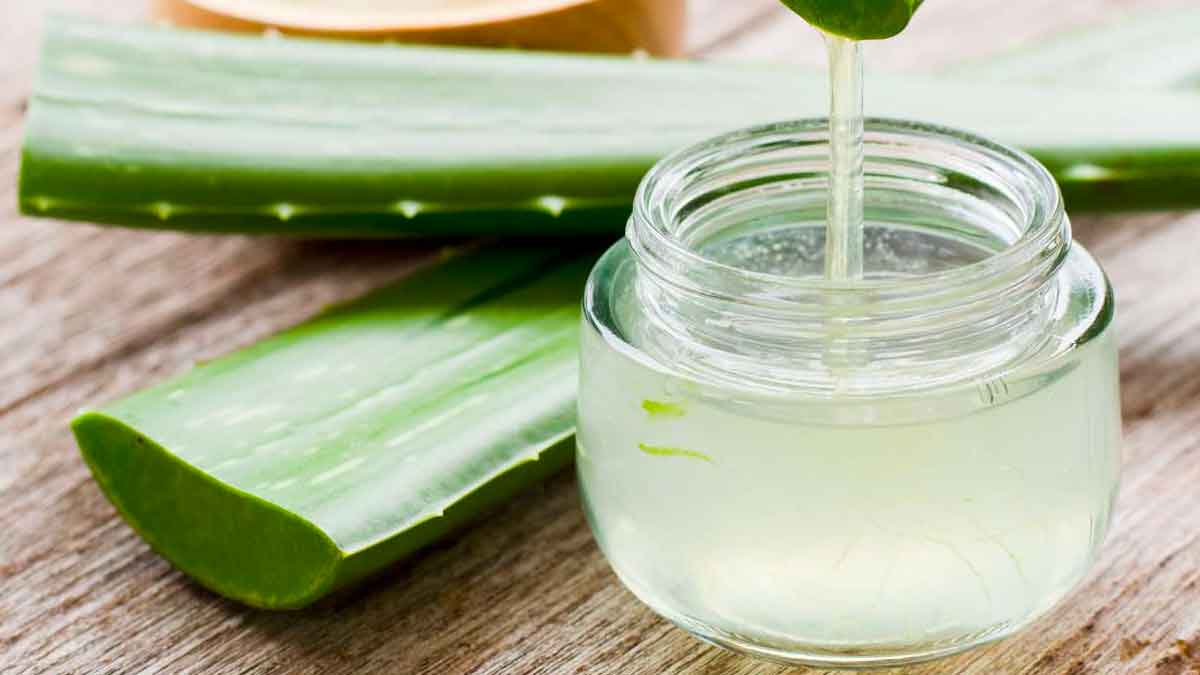 aloe vera gel many wonderful health benefits 