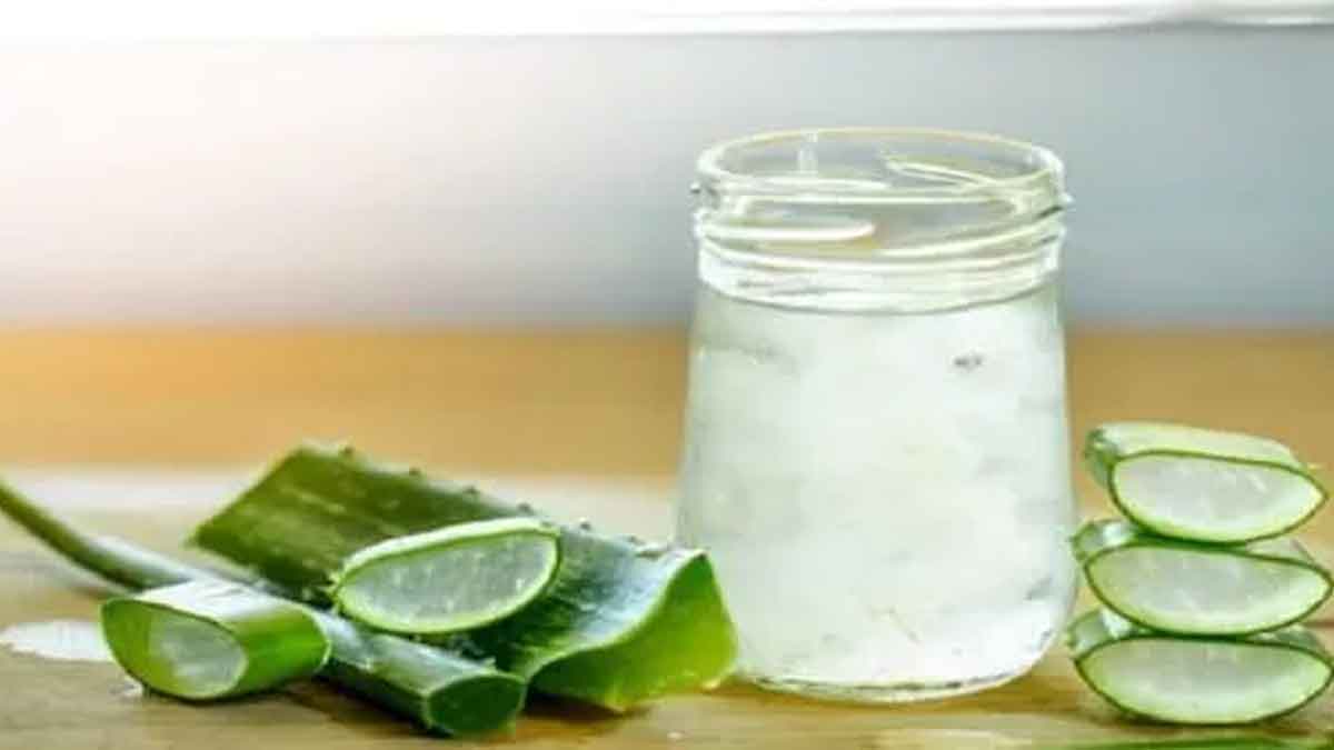 if you are taking aloe vera gel on empty stomach then know this 