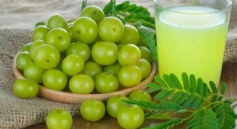 Amla Juice : ఉసిరికాయ జ్యూస్ ను రోజూ తాగితే ఏం జ‌రుగుతుందో తెలుసా..?