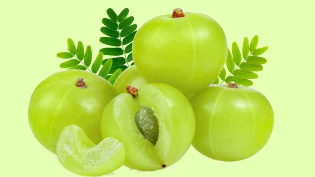 what happens if you take amla in winter 