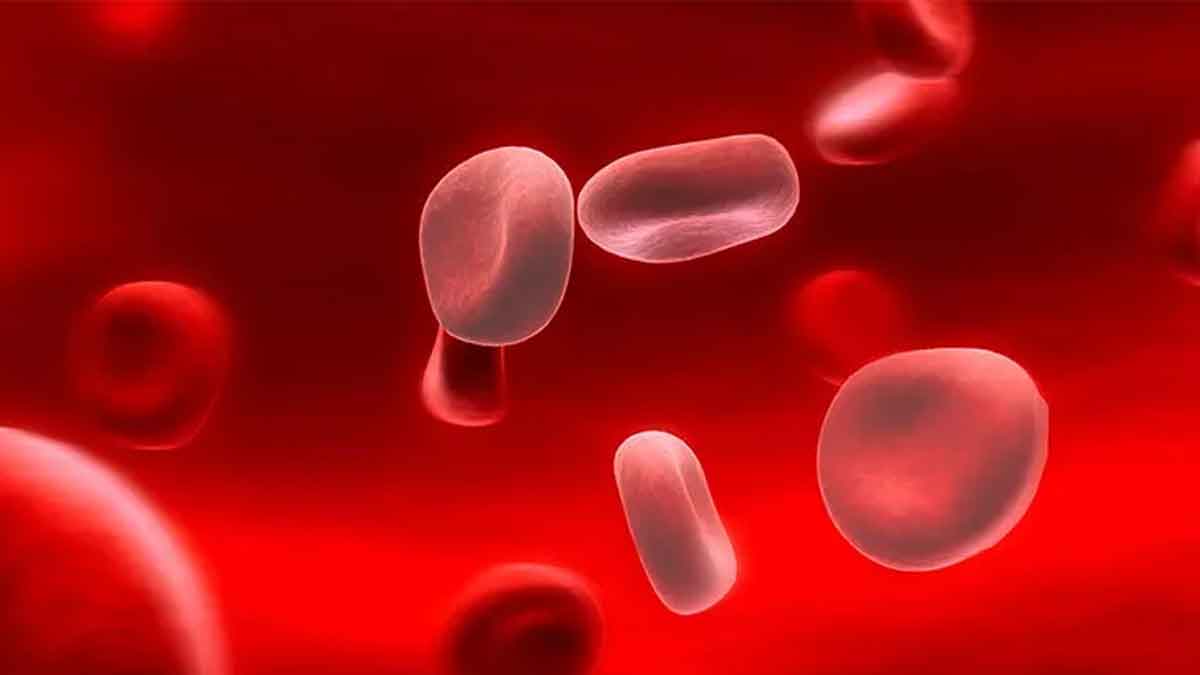 follow these tips to reduce anemia 