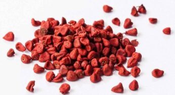 Annatto Seeds : ఈ గింజ‌లు ఎక్క‌డ క‌నిపించినా స‌రే విడిచిపెట్ట‌కుండా తెచ్చుకోండి..!