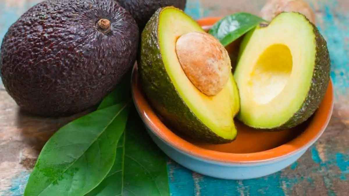 wonderful health benefits of avocado 