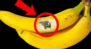 White Spots On Banana : అరటి పండ్లు కొనేటప్పుడు ఈ తప్పు అస్సలు చెయ్యద్దు.. ఇది ఎంత ప్రమాదమో తెలుసా..?