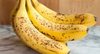 Black Spot Banana : ప్రతి రోజూ అరటి పండును తినడం మంచిది కాదా..? ఎలాంటి అరటి పండ్ల‌ను తినాలి..?