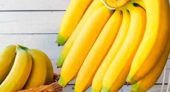 Banana Storage : ఇలా చేస్తే.. 15 రోజులైనా అరటిపండ్లు పాడవ్వవు.. ఫ్రెష్ గానే ఉంటాయి..!